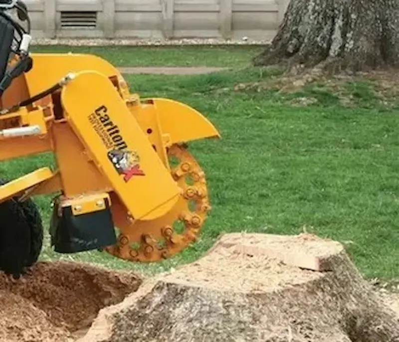 Stump grinder working on a tree stump at a residential property