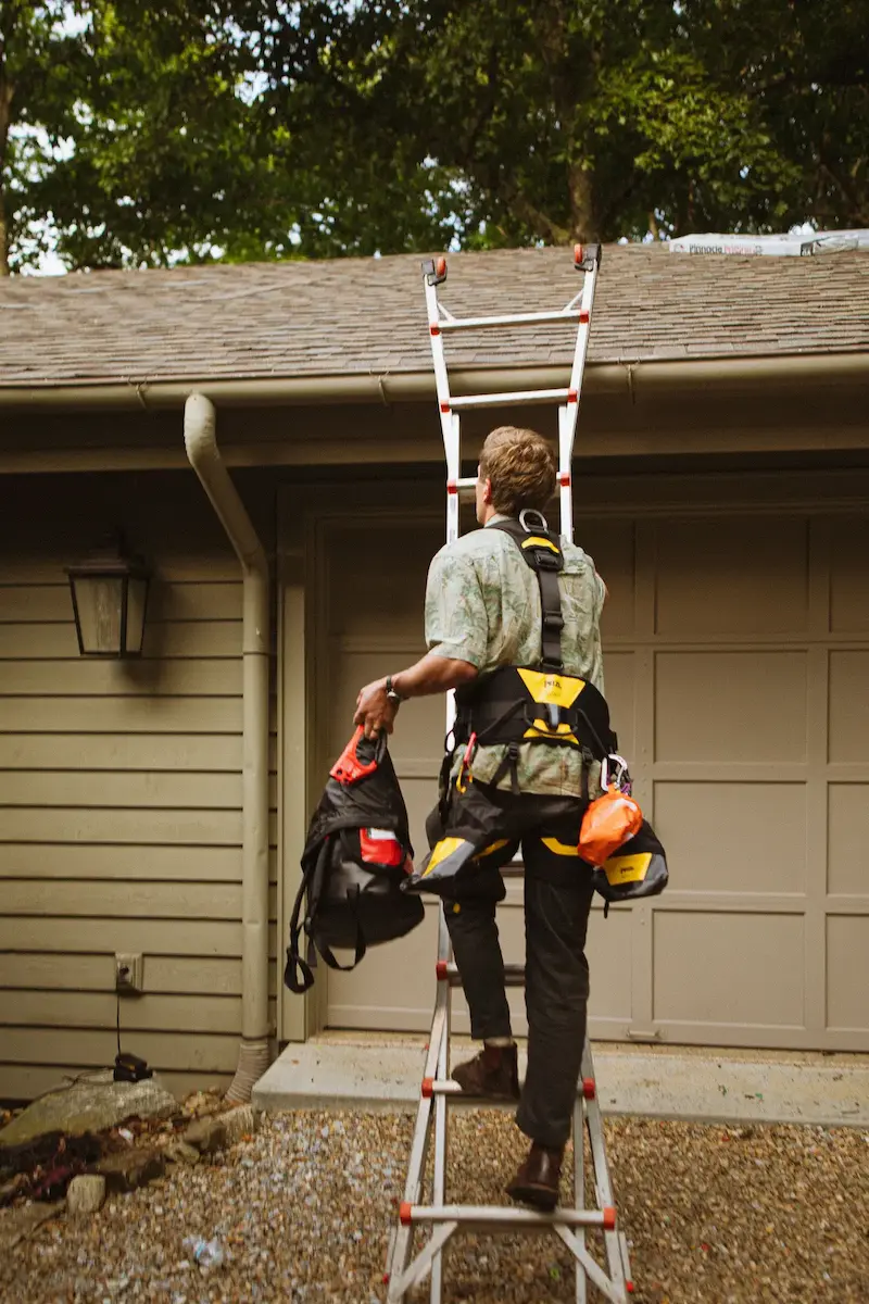 Tree Removal Cost